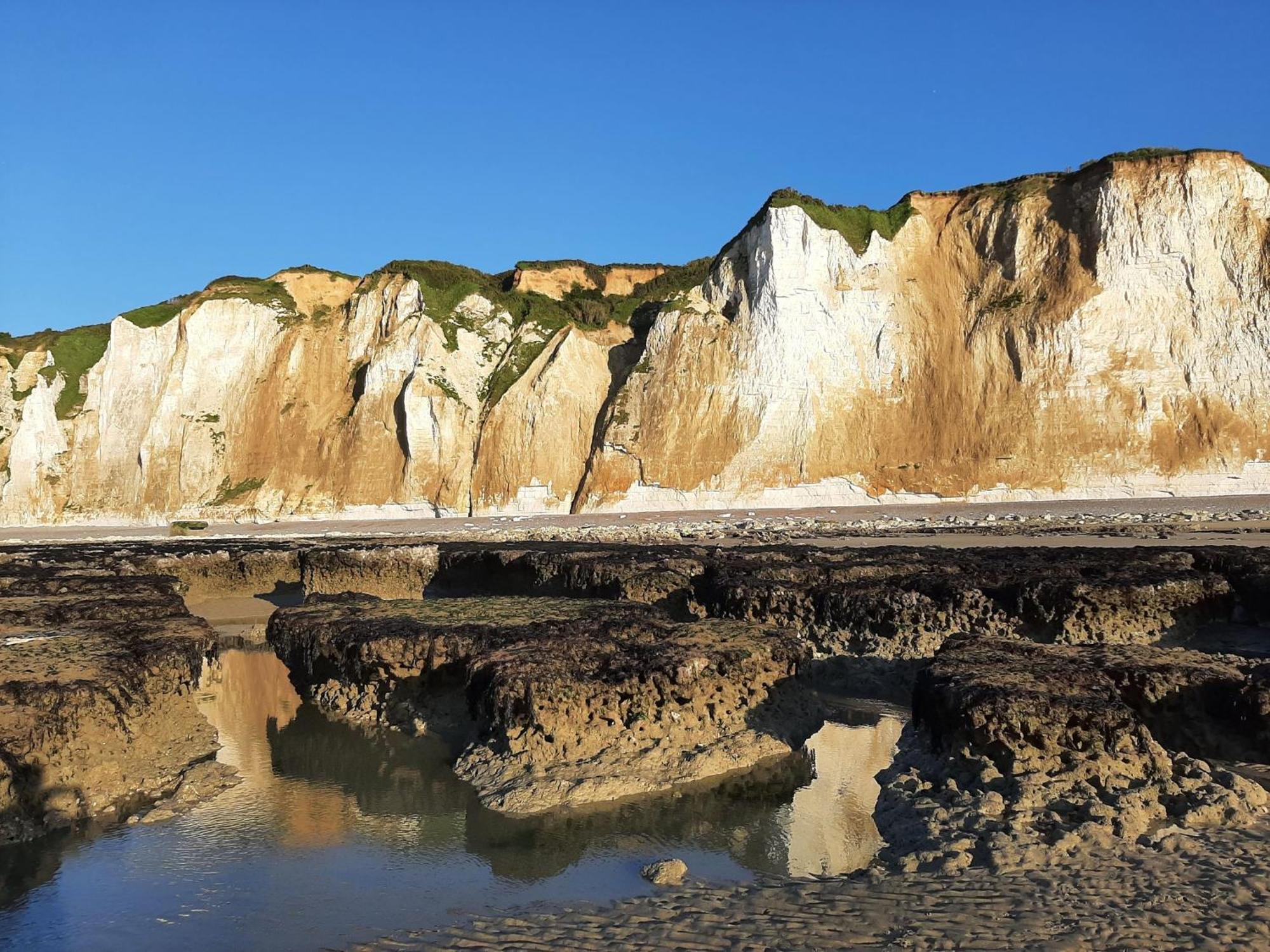 Gite Les Grandes Masures Vasterival Varengeville-sur-Mer Esterno foto